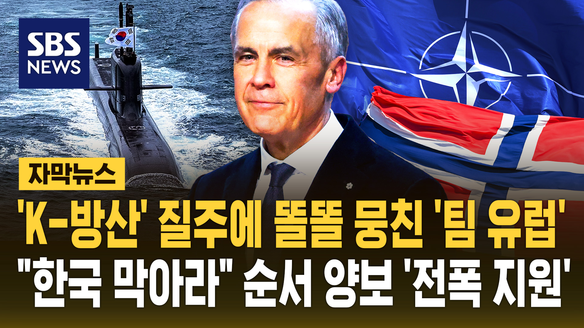 [자막뉴스] 'K-방산' 질주에 똘똘 뭉친 '팀 유럽'…"한국 막아라" 순서까지 양보하며 '전폭 지원'
