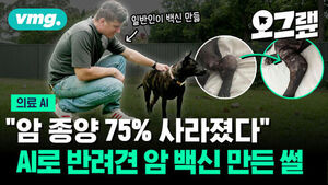 암 종양 75퍼센트 사라졌다, AI로 반려견 암 백신 만든 썰