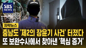 충남 수정수정