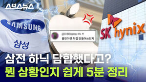 삼전 하닉 담합했다고? 뭔 상황인지 쉽게 5분 정리