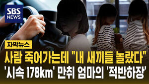 [자막뉴스] 사람 죽어가는데 "내 새끼들 놀랐다"&hellip;'시속 178km' 만취 엄마의 '적반하장'