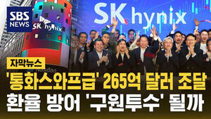 SK Hynix Raises $26.5 Billion: Will It Become a 'Relief Pitcher' for the Domestic Foreign Exchange Market?