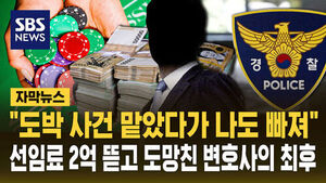 [자막뉴스] "도박 사건 맡았다가 나도 빠져"&hellip;선임료 2억 뜯고 도망친 변호사의 최후