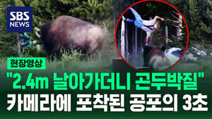 [현장영상] "2.4m 날아가더니 곤두박질"  카메라에 포착된 공포의 3초