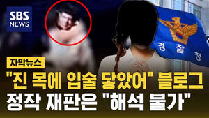 [자막뉴스] "진 목에 입술 닿았어" 블로그 쓰더니&hellip;정작 재판은 "해석 불가"
