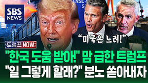 "너무 느려! 비싸!" 불만 '줄줄' 나열하더니 "한국 기업 가능?"..같은 시각 청문회"트럼프 망상 왜 받아줘!" 맹폭에 (트럼프 NOW)