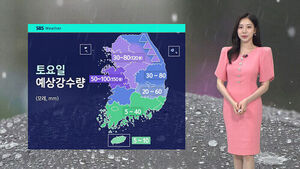 [날씨] 제헌절 호남 최대 100mm&hellip;주말 전국 장맛비