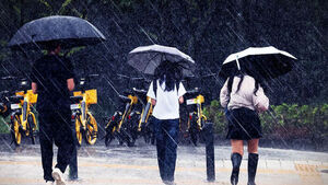 Heavy Rain Advisories Issued for Hwaseong, Pyeongtaek, and Anseong in Gyeonggi Province; Also Effective in Southern Daejeon and Sejong