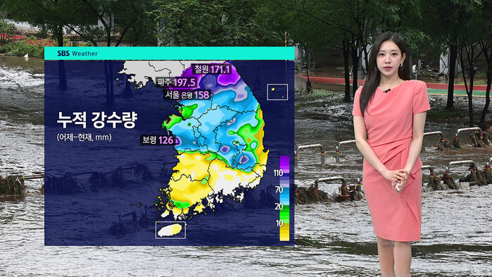 SBS Weather 누적 강수량 지도와 침수된 도로 앞에 서 있는 기상캐스터.