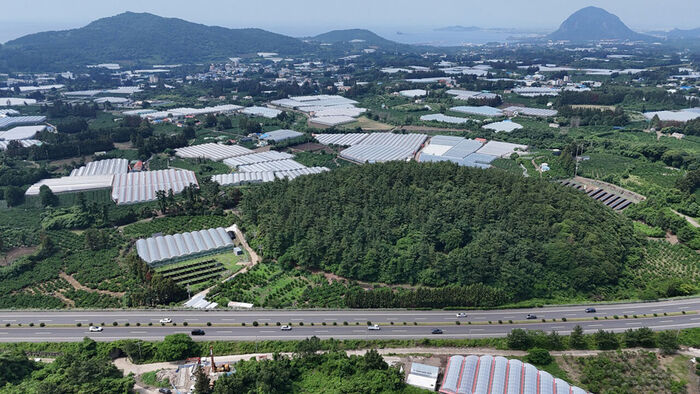 Deode Oreum, which stands 48 meters above the ground (Photo courtesy of Jeju Special Self-Governing Province, Yonhap News)