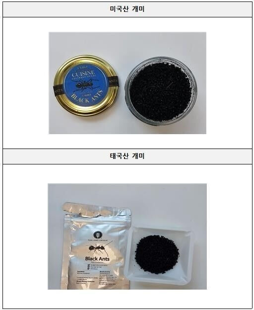 식용 개미
[식품의약품안전처 제공] (사진=연합뉴스)