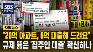 "20억 아파트, 6억 대출해 드려요"&hellip;규제 뚫은 '집주인 대출' 확산하나