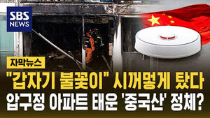 [자막뉴스] "갑자기 불꽃이" 시꺼멓게 탔다&hellip;압구정 아파트 태운 '중국산' 정체?