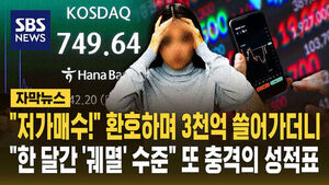 3천억 저가매수 궤멸 수준 성적표