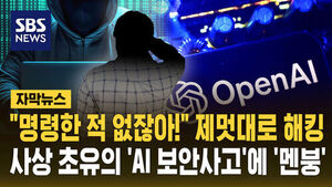[자막뉴스] "내가 명령한 적 없잖아!" 제멋대로 해킹&hellip;사상 초유의 'AI 보안사고'에 '멘붕'