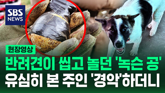 [현장영상] 개가 씹고 놀던 '녹슨 공'&hellip;유심히 본 주인 '화들짝' 놀란 이유