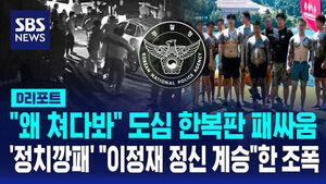 [D리포트] "왜 쳐다봐" 도심 한복판 패싸움&hellip;'정치깡패' "이정재 정신 계승" 조폭