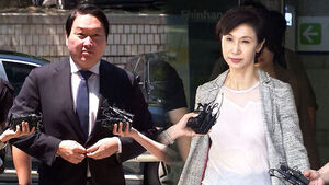 [속보] 법원 "최태원 보유 주식 가치 큰폭 상승한 점 재산분할에 참작"