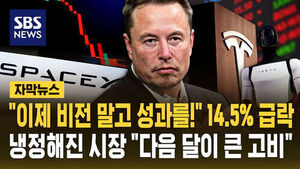 테슬라 급락