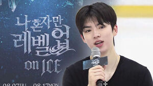 '나 혼자만 레벨업', 차준환 주역 아이스쇼로