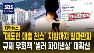 셀러 파이낸싱
