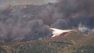 Worst Wildfires in France and Spain Force Over 230,000 to Evacuate as Crews Fight to Contain Blazes