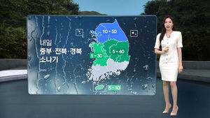 8뉴스 날씨(임은진)