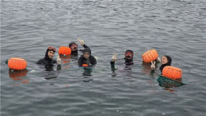 21 French Nationals Complete 20-Day Learning Trip in Jeju, Haenyeo Experience Most Popular