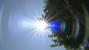 Foreign Worker in 30s Dies While Farming in Heatwave... Suspected Heat-Related Illness