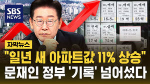 Seoul Apartment Prices Surged 11% in First Year of Administration, Breaking Record