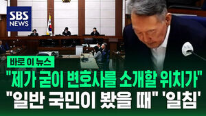 "I'm Not in a Position to Introduce a Lawyer"... Court Delivers Rebuke on Public Perception