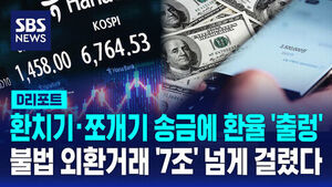 Illegal Foreign Exchange Transactions Exceed KRW 7 Trillion Amid Fluctuating Exchange Rates