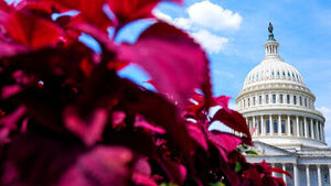 AI Firms Pour Record Funds into Washington Lobbying to Block Regulations