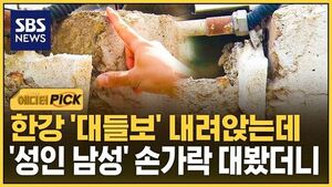 Sagging Bridge Beams on the Han River: A Closer Look at the Gaps