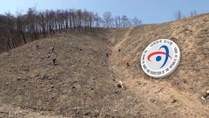 Emergency Audit on 'Wildfire Cartel': 6,749 Forestry Technicians Suspected of Illegal License Lending