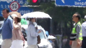 Heatwave Alert Upgraded to Highest Level; Central Disaster Countermeasures Headquarters Activated