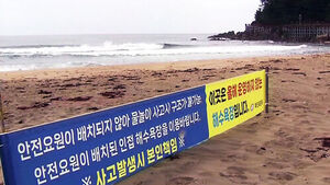 Three Suffer Cardiac Arrest in a Single Day... Safety Alarm Raised at 'Unsanctioned Beaches'