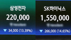 "다신 안 할 테니 한번만 살려주세요"&hellip;공포지수도 급등