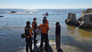 Series of Water Accidents in Pohang Sea and Reservoir Leave One in Cardiac Arrest and Two Dead