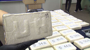 Police Apprehend 5,203 Drug Offenders in First Half of Year