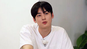 Cha Eun-woo, Accused of Tax Evasion, Files Petition with Tax Tribunal