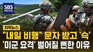 Text Message Warning Ignored: Why U.S. Drone Was Nearly Intercepted