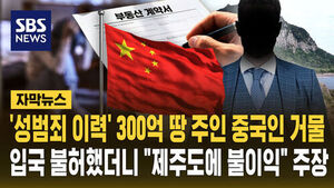 중국인 거물