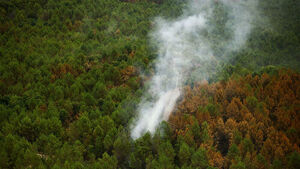 "European Wildfire and Heatwave Damages Exceed 5 Trillion Won"