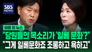 "Are Party Members' Voices 'Ilbe Culture'?"&hellip; "That Is Ilbe Culture, Mocking and Cursing"