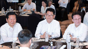 Factions Clash in Democratic Party Supreme Council Candidate Debate