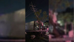 Truck Crashes Into Utility Pole in Uijeongbu, Causing Blackout in Nearby Shops