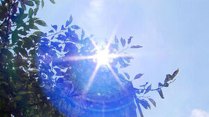 Over 9,000 Hospitalized Due to Heatstroke in Japan Amid Severe Heatwave Over Past Week