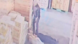 Employee Falls 5 Meters Due to Boss's Prank... Labor Ministry Launches Planned Inspection on Food Ingredients Company