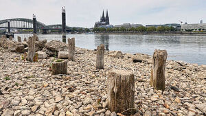 Historic Heatwave and Drought Paralyze Europe, Drying Up Waterways and Hitting Economies